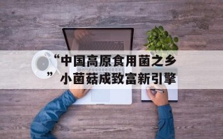 “中国高原食用菌之乡”小菌菇成致富新引擎