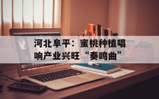 河北阜平：蜜桃种植唱响产业兴旺“奏鸣曲”