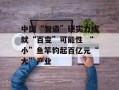 中国“智造”硬实力成就“百变”可能性 “小”鱼竿钓起百亿元“大”产业
