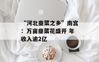 “河北韭菜之乡”南宫：万亩韭菜花盛开 年收入逾2亿