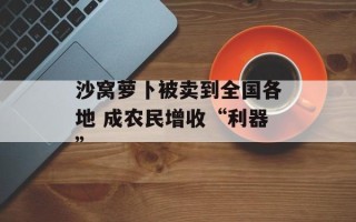 沙窝萝卜被卖到全国各地 成农民增收“利器”