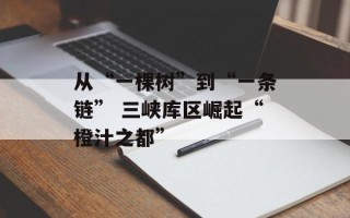 从“一棵树”到“一条链” 三峡库区崛起“橙汁之都”