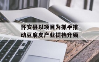 怀安县以项目为抓手推动豆腐皮产业提档升级