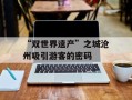 “双世界遗产”之城沧州吸引游客的密码