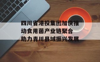 四川省港投集团加快推动食用菌产业链聚合 助力青川县域振兴发展