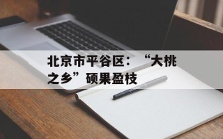 北京市平谷区：“大桃之乡”硕果盈枝