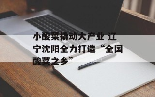 小酸菜撬动大产业 辽宁沈阳全力打造“全国酸菜之乡”