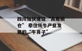 四川加快建设“高原粮仓” 牵住牦牛产业发展的“牛鼻子”