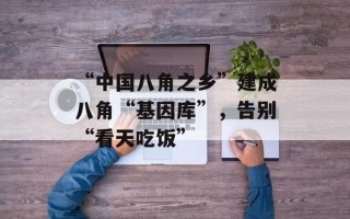 “中国八角之乡”建成八角“基因库”，告别“看天吃饭”