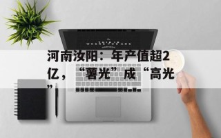 河南汝阳：年产值超2亿，“薯光”成“高光”
