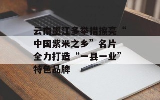 云南墨江多举措擦亮“中国紫米之乡”名片 全力打造“一县一业”特色品牌