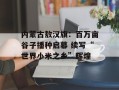 内蒙古敖汉旗：百万亩谷子播种启幕 续写“世界小米之乡”辉煌