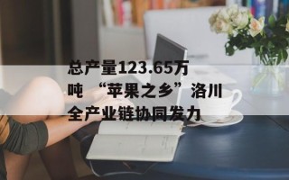 总产量123.65万吨 “苹果之乡”洛川全产业链协同发力