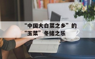 “中国大白菜之乡”的“玉菜”冬储之乐