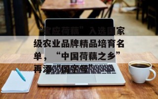 “宝应荷藕”入选国家级农业品牌精品培育名单，“中国荷藕之乡”再添“国字号”