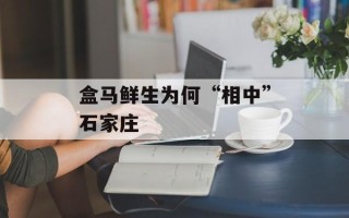 盒马鲜生为何“相中”石家庄
