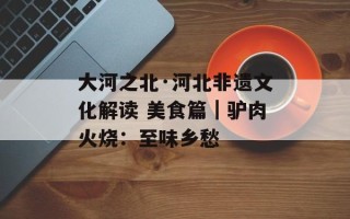 大河之北·河北非遗文化解读 美食篇｜驴肉火烧：至味乡愁