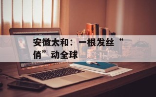安徽太和：一根发丝“俏”动全球