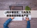 四川攀枝花：三向发力做强做优特色茶产业