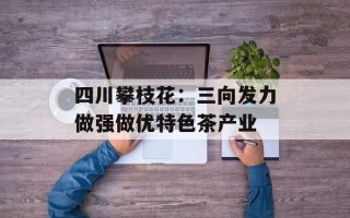 四川攀枝花：三向发力做强做优特色茶产业