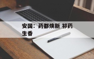 安国：药都焕新 祁药生香