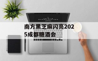 南方黑芝麻闪亮2025成都糖酒会
