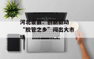 河北景县：创新驱动 “胶管之乡”闯出大市场