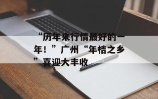 “历年来行情最好的一年！”广州“年桔之乡”喜迎大丰收