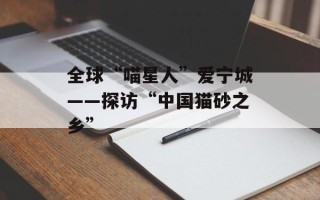 全球“喵星人”爱宁城——探访“中国猫砂之乡”