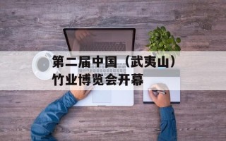 第二届中国（武夷山）竹业博览会开幕