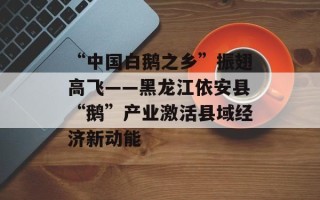 “中国白鹅之乡”振翅高飞——黑龙江依安县“鹅”产业激活县域经济新动能