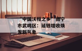 “中国沃柑之乡”南宁市武鸣区：延链增收焕发新气象