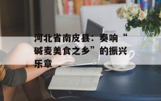 河北省南皮县：奏响“碱麦美食之乡”的振兴乐章