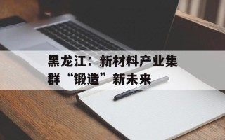 黑龙江：新材料产业集群“锻造”新未来