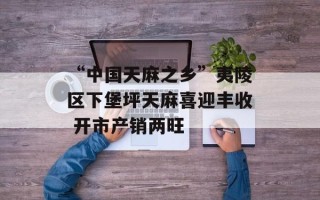 “中国天麻之乡”夷陵区下堡坪天麻喜迎丰收 开市产销两旺