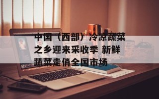 中国（西部）冷凉蔬菜之乡迎来采收季 新鲜蔬菜走俏全国市场