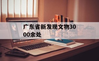 广东省新发现文物3000余处