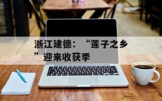 浙江建德：“莲子之乡”迎来收获季