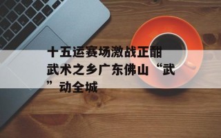 十五运赛场激战正酣 武术之乡广东佛山“武”动全城