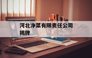 河北净菜有限责任公司揭牌