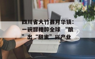 四川省大竹县月华镇：一碗醪糟醉全球 “酿”出“甜蜜”兴产业