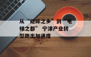 从“蟋蟀之乡”到“电梯之都” 宁津产业转型跑出加速度