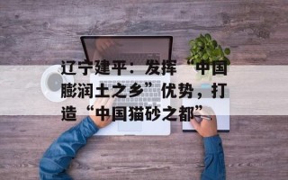 辽宁建平：发挥“中国膨润土之乡”优势，打造“中国猫砂之都”