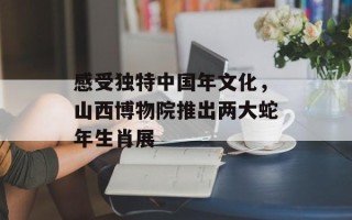 感受独特中国年文化，山西博物院推出两大蛇年生肖展