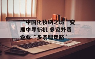 “中国化妆刷之城”变局中寻新机 多家外贸企业“多条腿走路”
