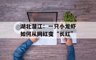 湖北潜江：一只小龙虾如何从网红变“长红”