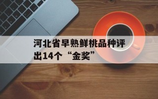 河北省早熟鲜桃品种评出14个“金奖”