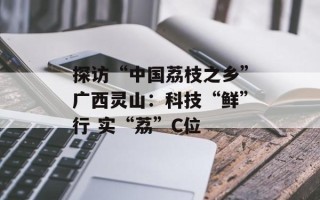探访“中国荔枝之乡”广西灵山：科技“鲜”行 实“荔”C位