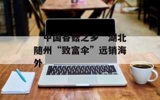 “中国香菇之乡”湖北随州“致富伞”远销海外