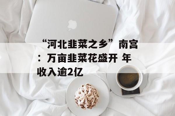 “河北韭菜之乡”南宫：万亩韭菜花盛开 年收入逾2亿-第1张图片-